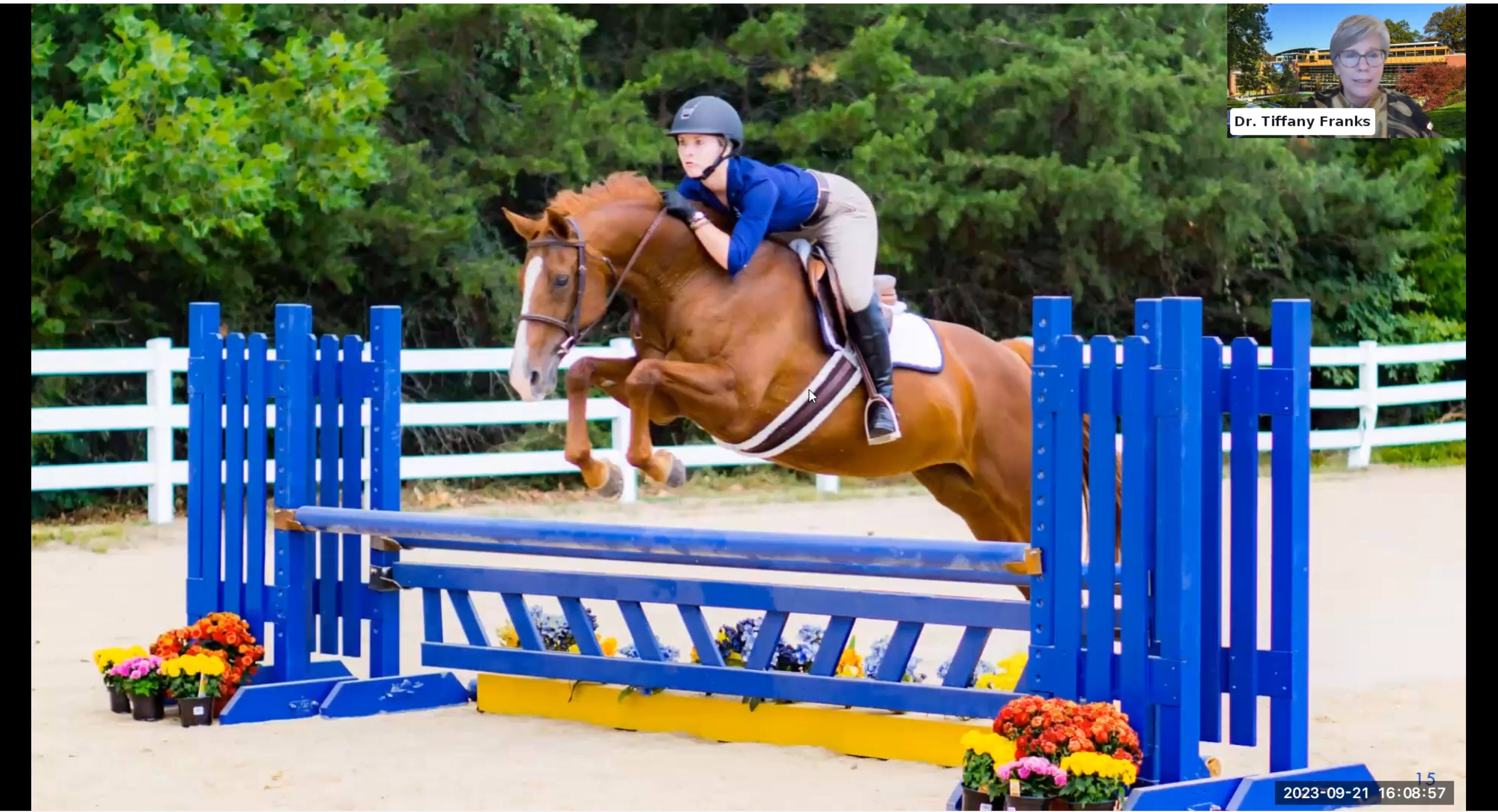 Students in equestrian studies learning competitive riding and horsemanship skills.