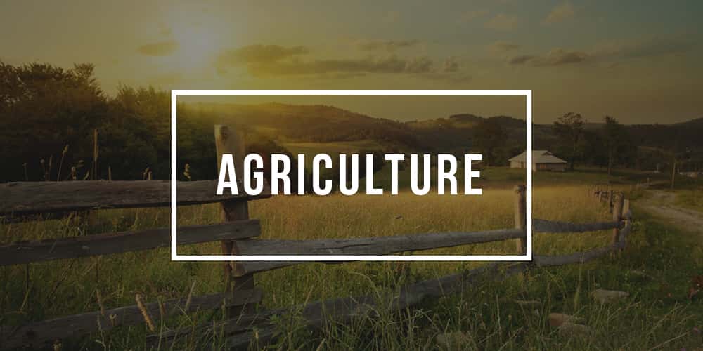 Major in Agriculture