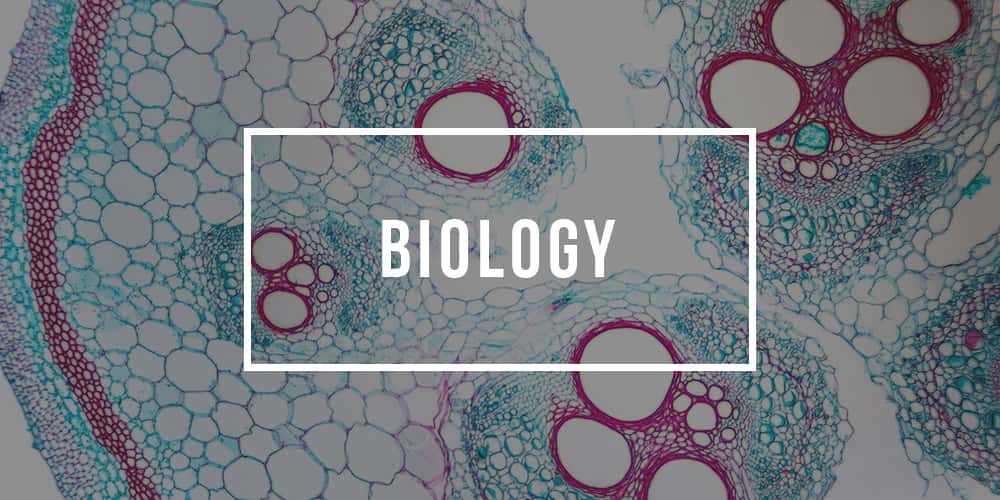 Major in Biology
