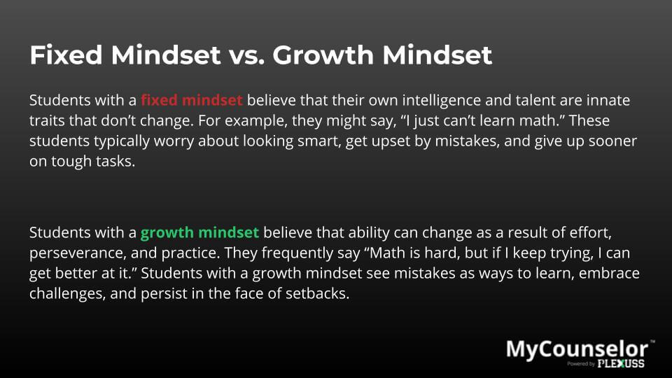 cultivating a success mindset