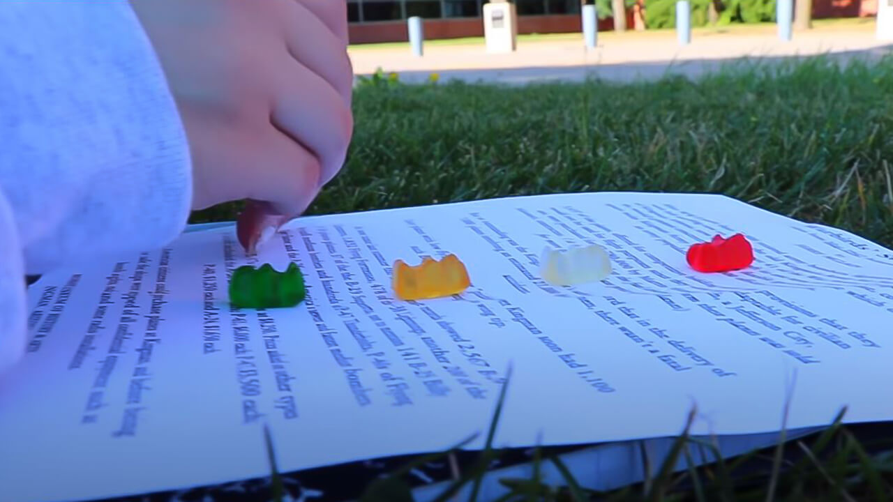 gummy bear song