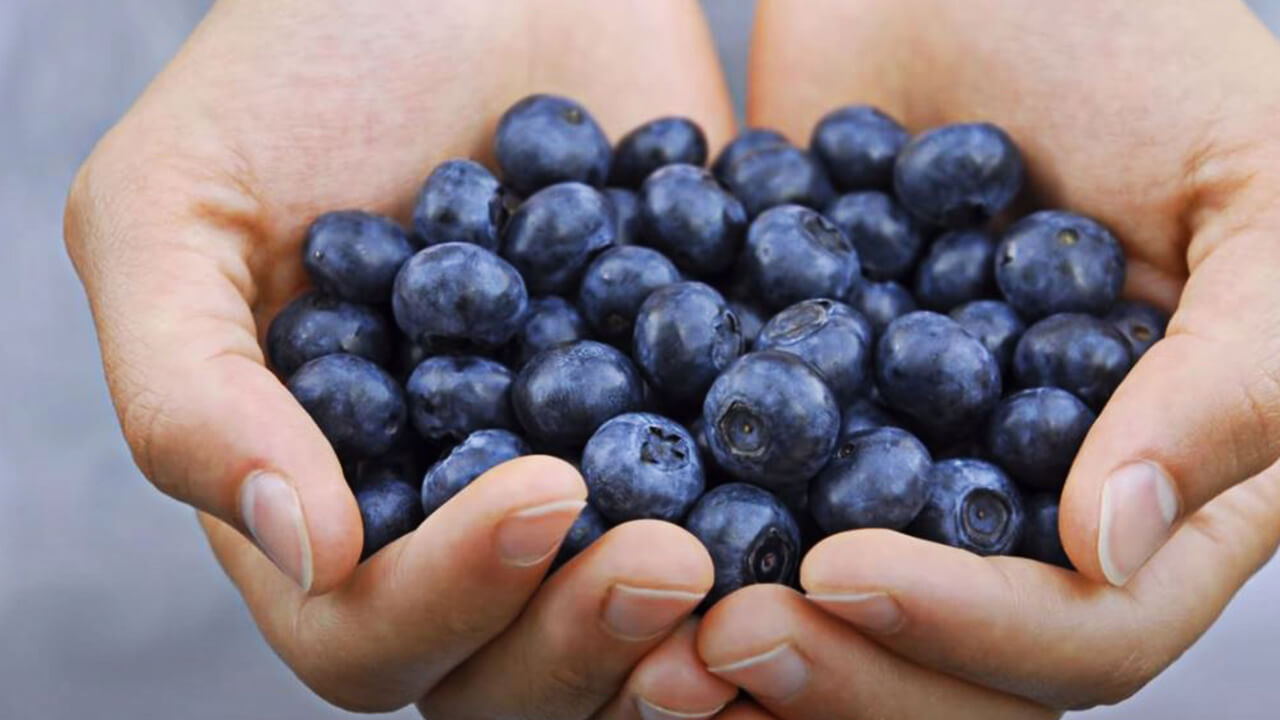 healthiest berries