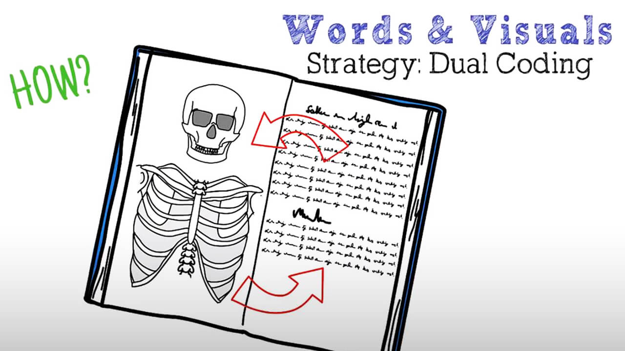 how to improve memory for studying