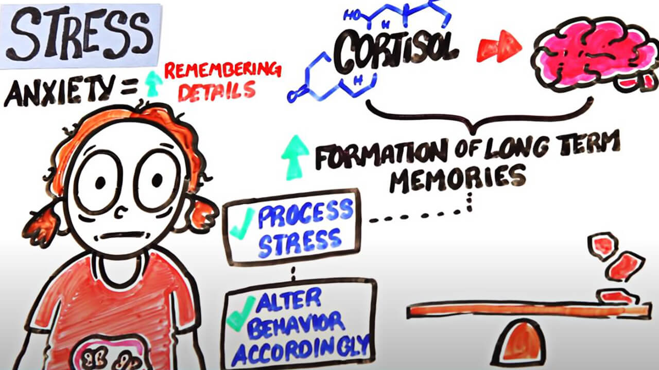 memorized presentation