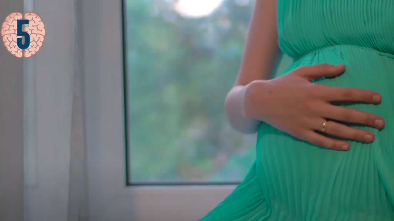 pregnancy brain shrink