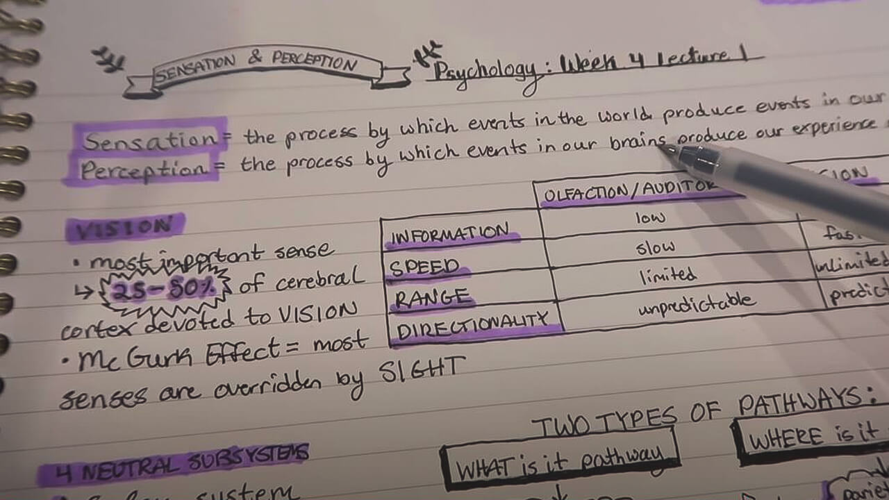 punctuating bullet points