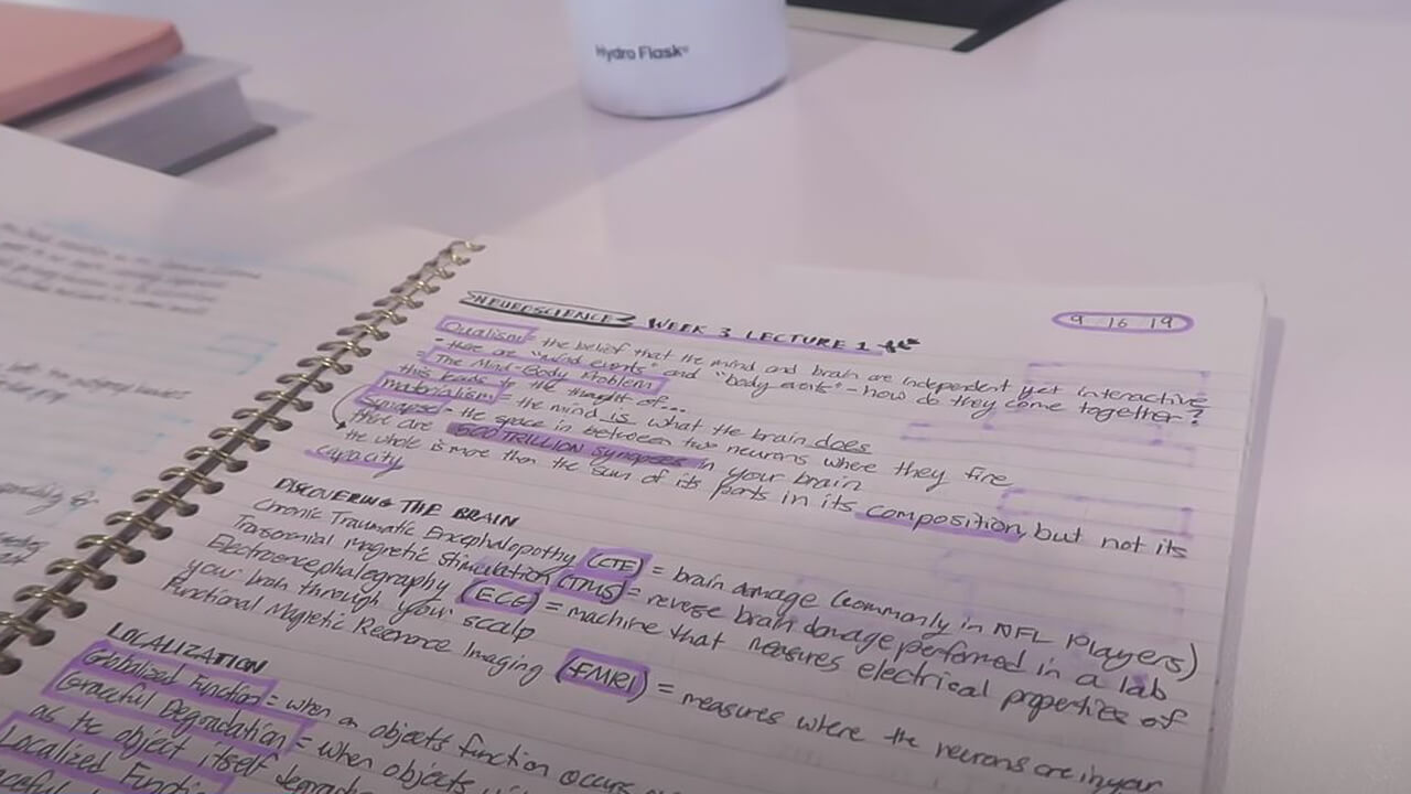 rereading notes to study