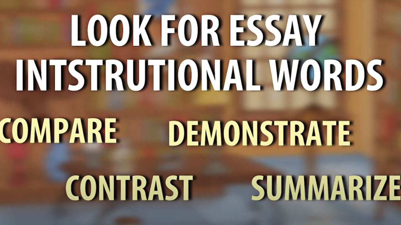 types of essay questions