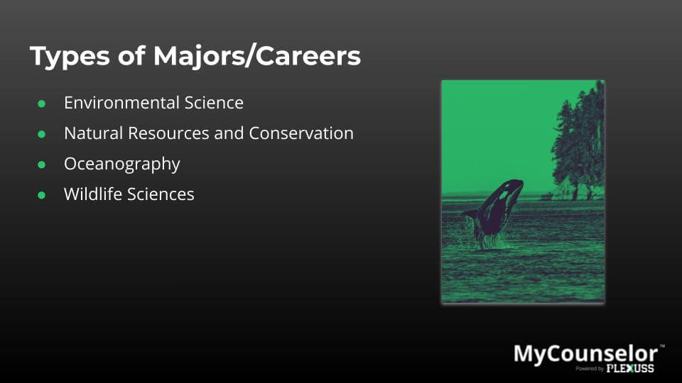 what does an environmental scientist do
